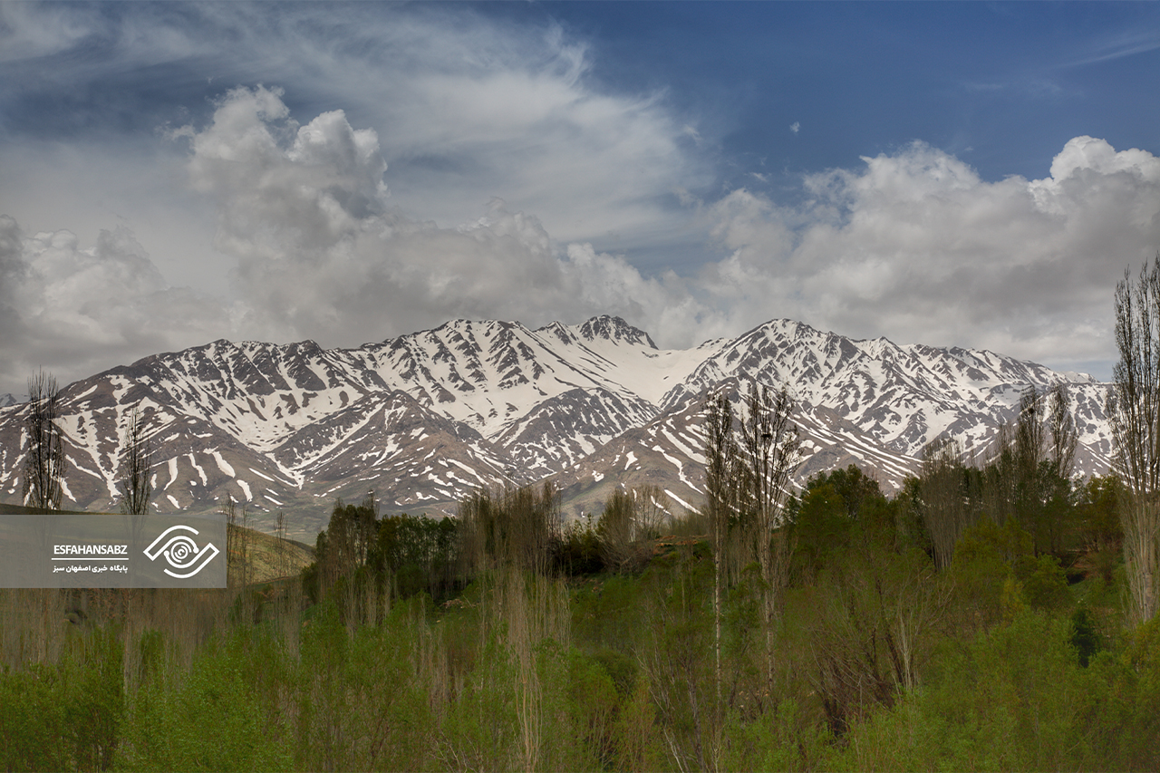 طبیعت بکر فریدون‌شهر در قاب تصویر؛ پونه‌زار، مقصدی برای عاشقان آرامش در ایران