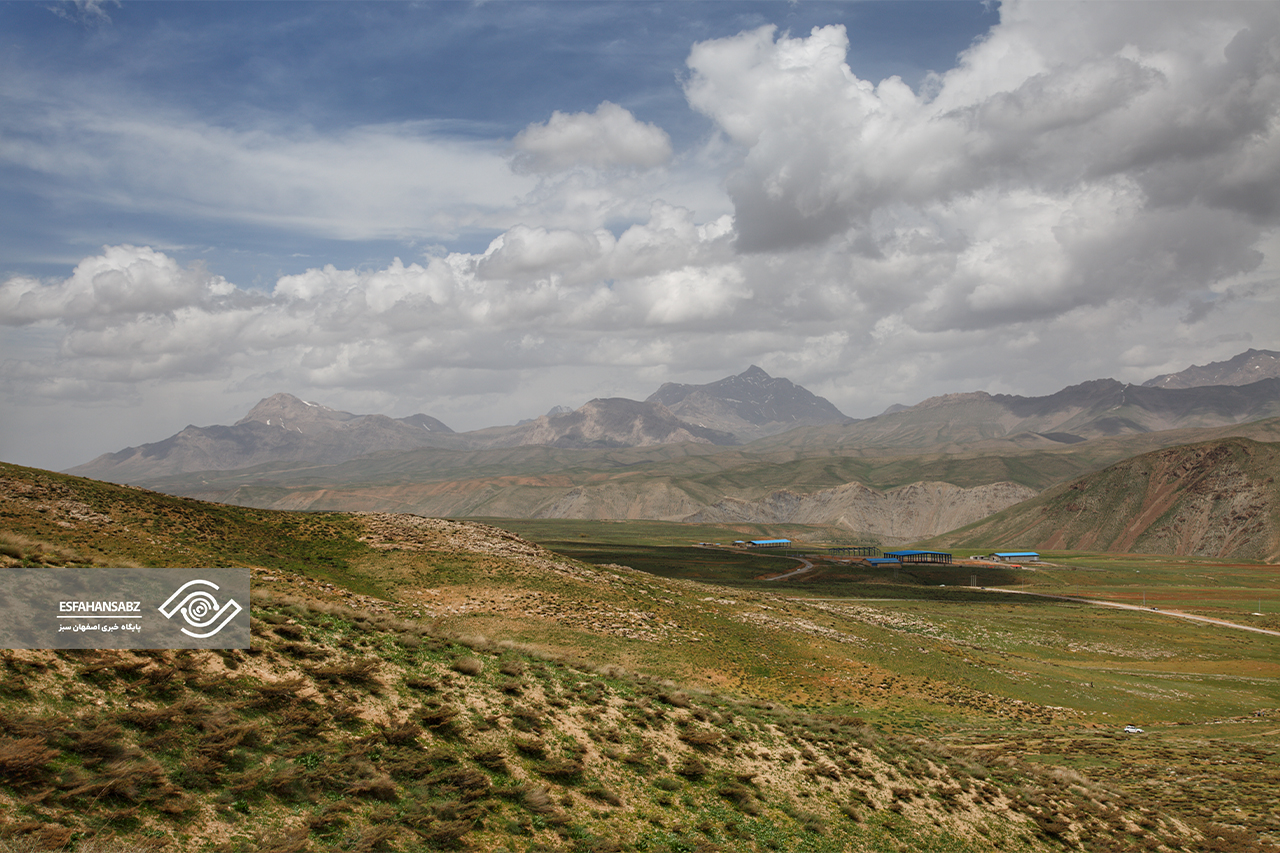طبیعت بکر فریدون‌شهر در قاب تصویر؛ پونه‌زار، مقصدی برای عاشقان آرامش در ایران