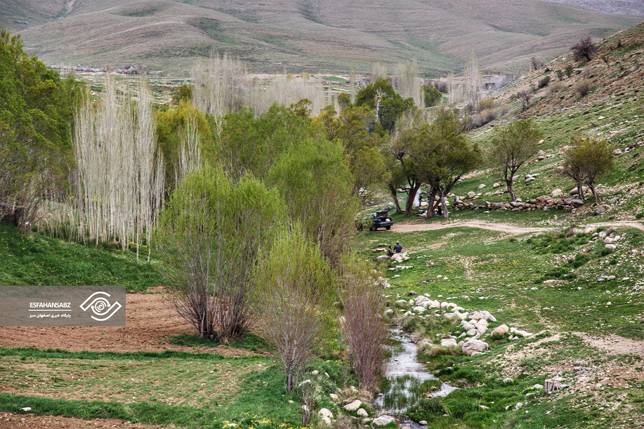 طبیعت بکر فریدون‌شهر در قاب تصویر؛ پونه‌زار، مقصدی برای عاشقان آرامش در ایران