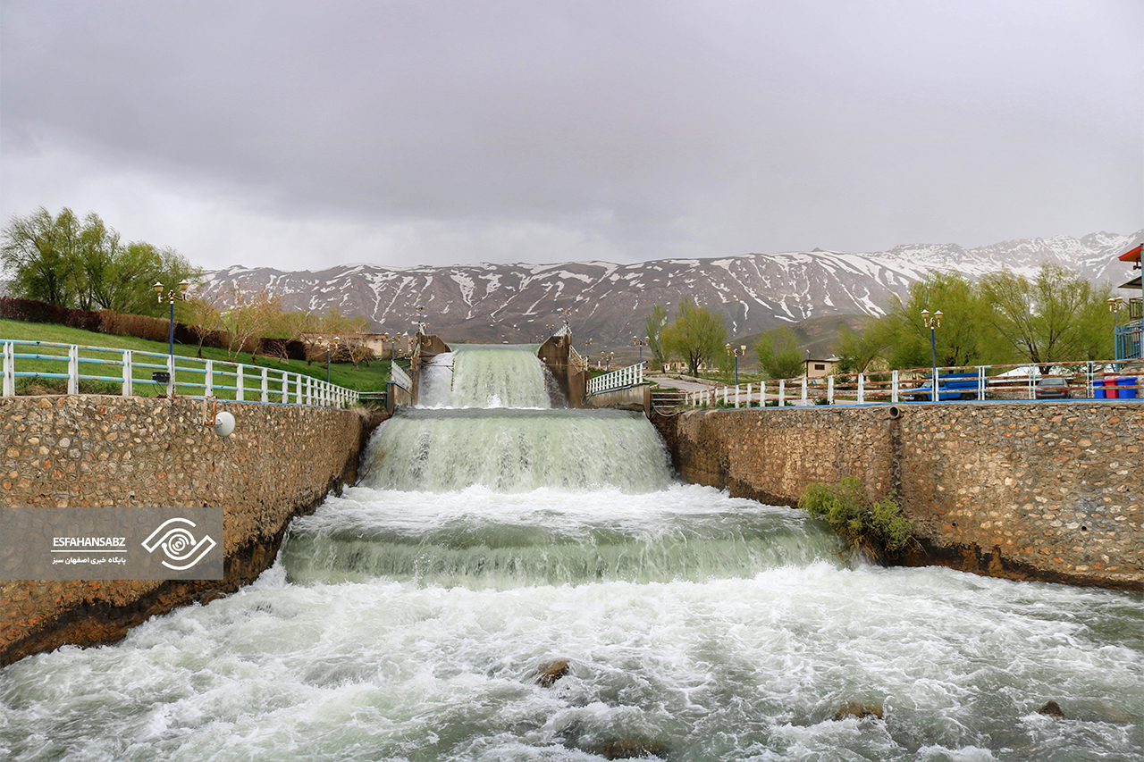 طبیعت بکر فریدون‌شهر در قاب تصویر؛ پونه‌زار، مقصدی برای عاشقان آرامش در ایران