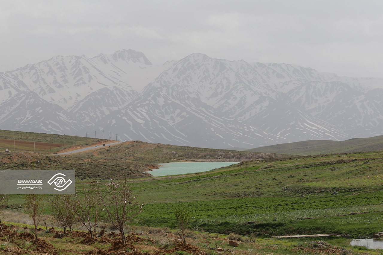 طبیعت بکر فریدون‌شهر در قاب تصویر؛ پونه‌زار، مقصدی برای عاشقان آرامش در ایران
