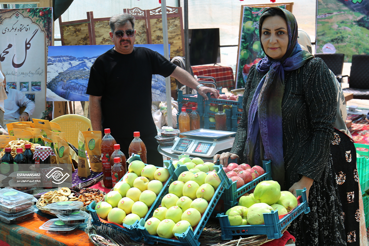 گزارش تصویری از نخستین جشنواره سیب در کُمه؛ بابازرنگ در مسیر تبدیل شدن به مقصد گردشگری پادنا