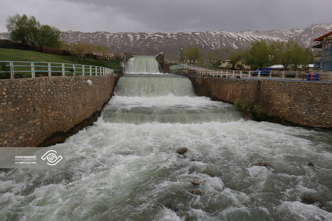 طبیعت بکر فریدون‌شهر در قاب تصویر؛ پونه‌زار، مقصدی برای عاشقان آرامش در ایران