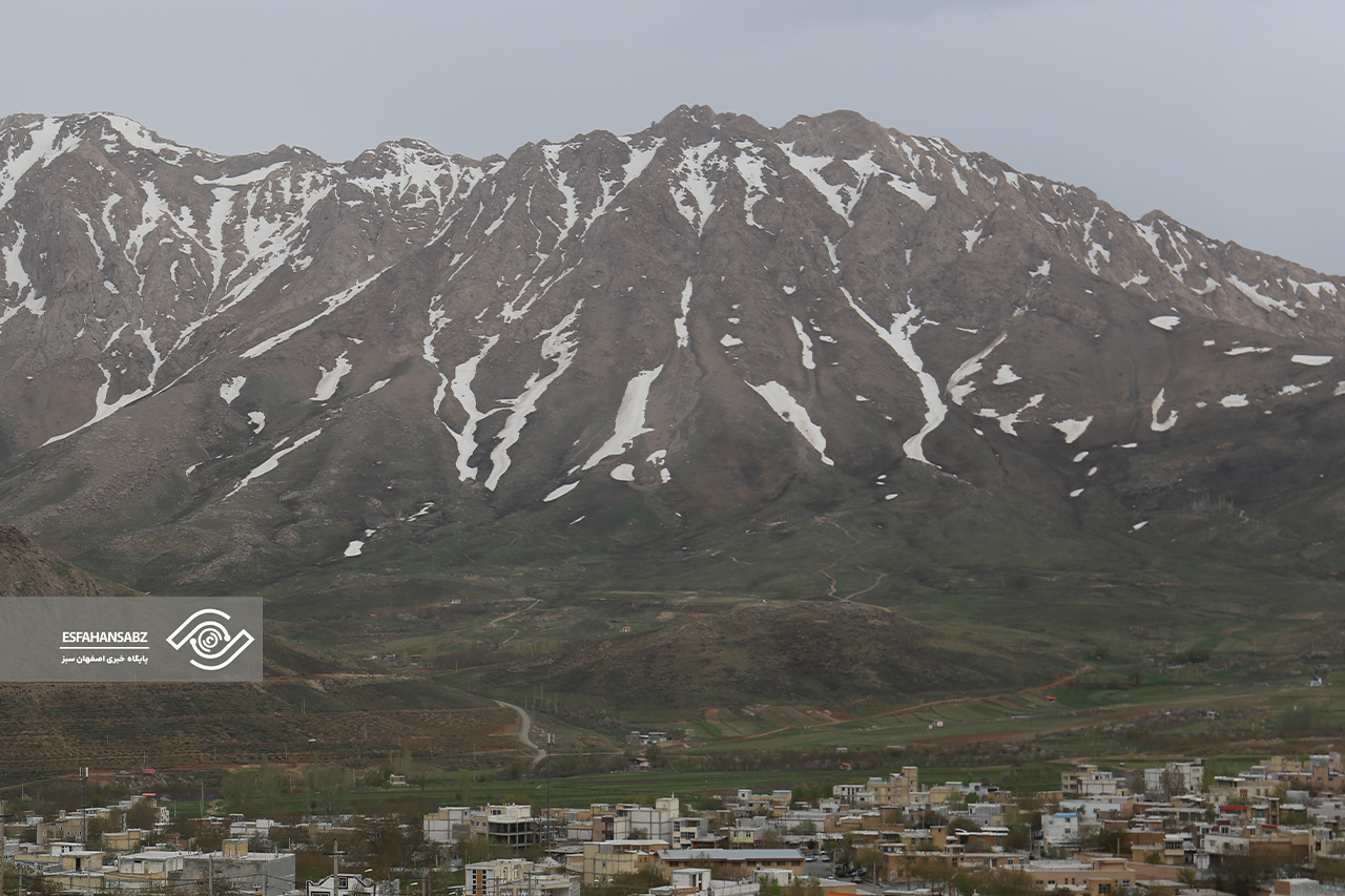 طبیعت بکر فریدون‌شهر در قاب تصویر؛ پونه‌زار، مقصدی برای عاشقان آرامش در ایران